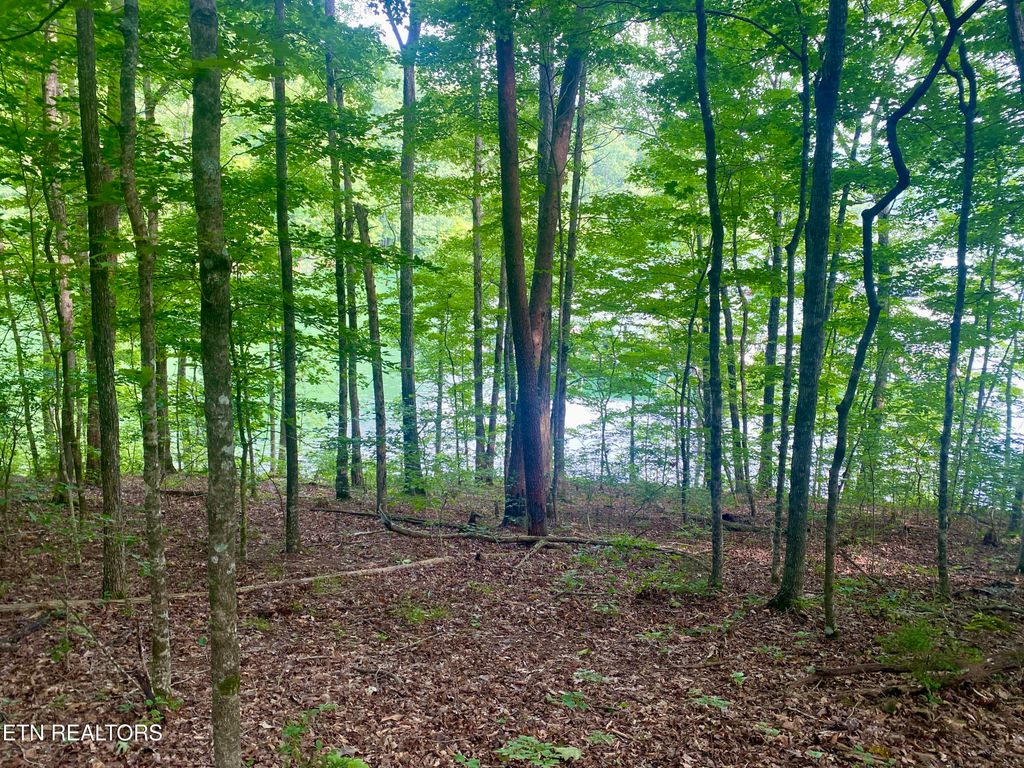 Photo of 130 Hickory Pointe Lane, Maynardville, TN 37807 (MLS # 1291964)