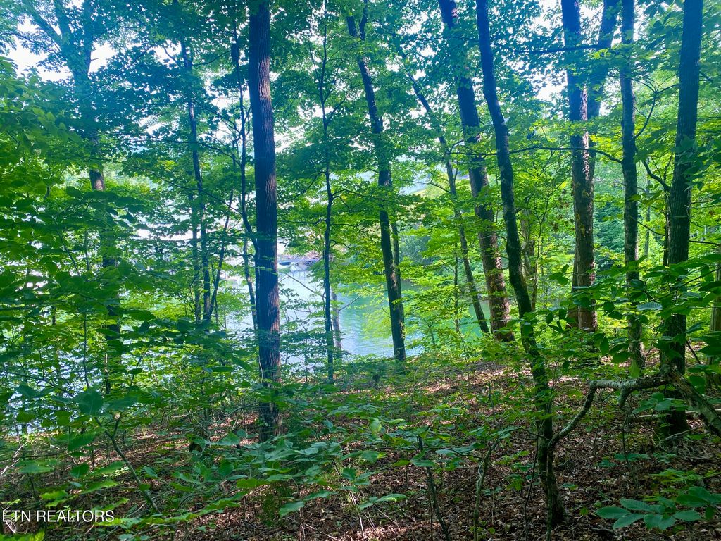 Photo of 130 Hickory Pointe Lane, Maynardville, TN 37807 (MLS # 1291964)