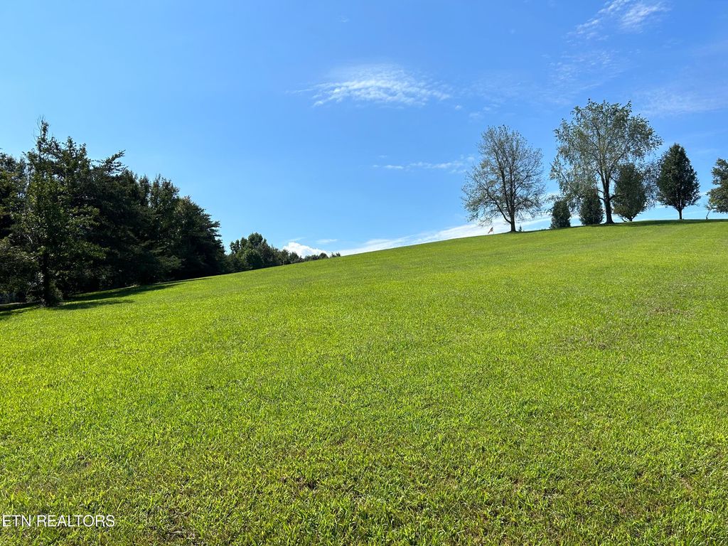 Photo of 3515 Mountain View Lane, White Pine, TN 37890 (MLS # 1238612)