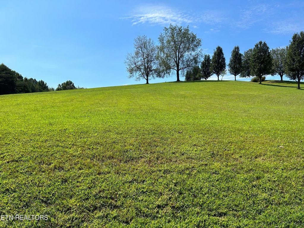 Photo of 3515 Mountain View Lane, White Pine, TN 37890 (MLS # 1238612)