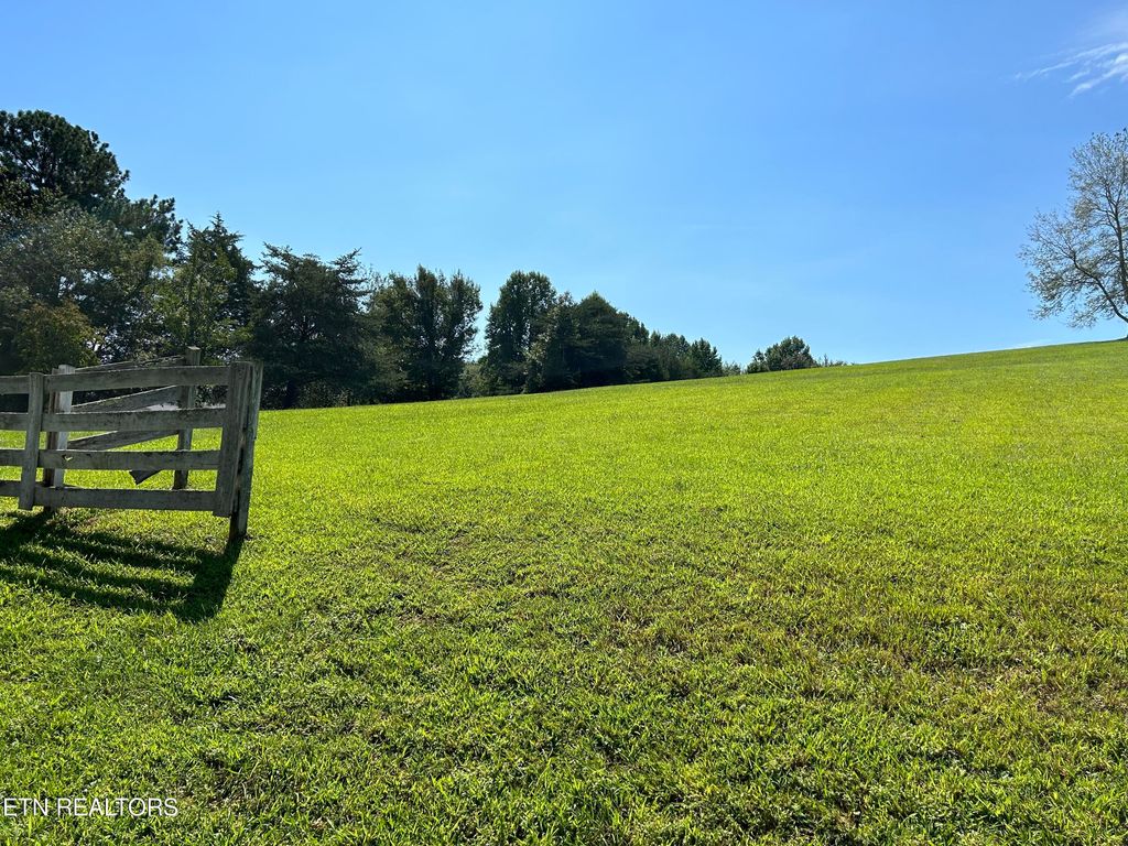 Photo of 3515 Mountain View Lane, White Pine, TN 37890 (MLS # 1238612)