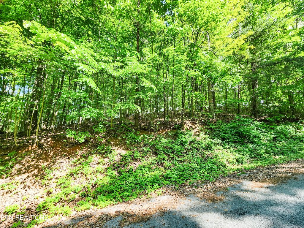 Photo of 208 Sara Lane, Maynardville, TN 37807 (MLS # 1300505)