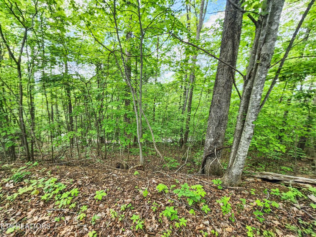 Photo of 208 Sara Lane, Maynardville, TN 37807 (MLS # 1300505)