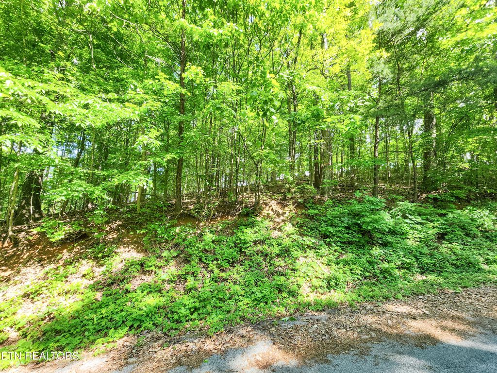 Photo of 208 Sara Lane, Maynardville, TN 37807 (MLS # 1300505)