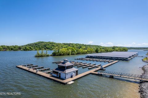 Tiny photo for 1462 Black Bear Circle, Loudon, TN 37774 (MLS # 1347538)