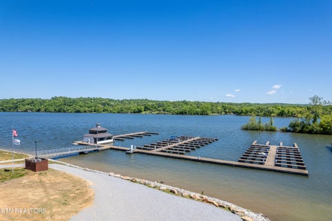 Tiny photo for 1462 Black Bear Circle, Loudon, TN 37774 (MLS # 1347538)