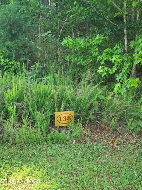 Photo of 138 E Shore Drive #138, Rockwood, TN 37854 (MLS # 1342833)