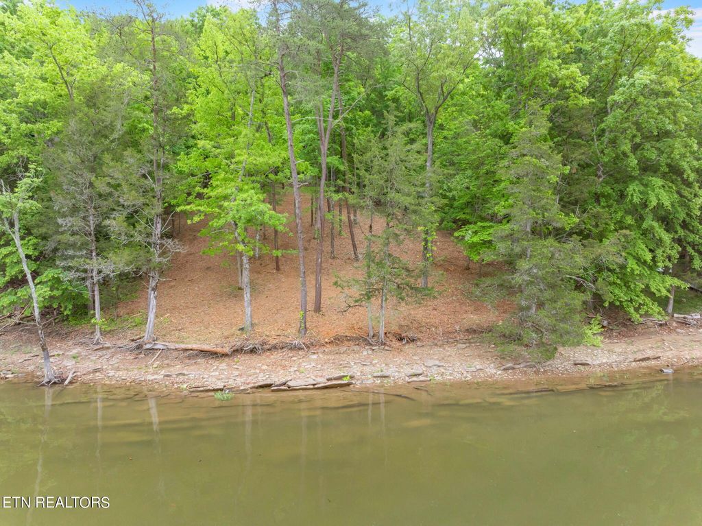Photo of Edwards Rd, Maynardville, TN 37807 (MLS # 1262893)