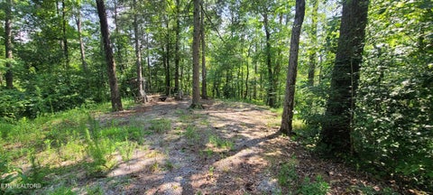 Tiny photo for 1011 Carrs Creek Rd, Townsend, TN 37882 (MLS # 1349892)