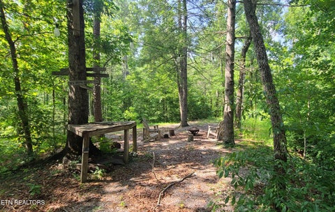 Photo of 1011 Carrs Creek Rd, Townsend, TN 37882 (MLS # 1349892)