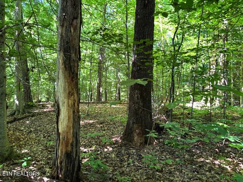 Tiny photo for 0 Topside Rd, Knoxville, TN 37920 (MLS # 1305168)