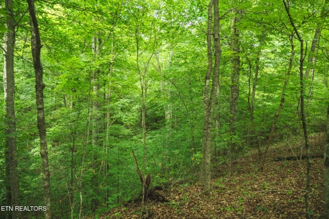 Tiny photo for 114 S Mohawk Rd, Midway, TN 37809 (MLS # 1348860)