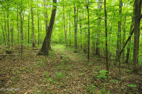 Tiny photo for 114 S Mohawk Rd, Midway, TN 37809 (MLS # 1348860)