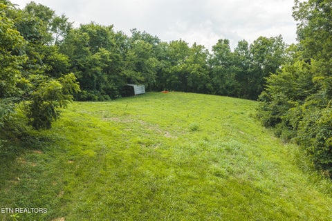 Tiny photo for 114 S Mohawk Rd, Midway, TN 37809 (MLS # 1348860)