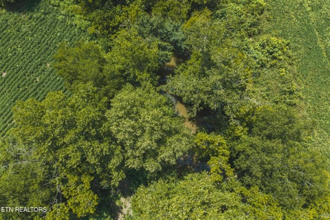 Tiny photo for 114 S Mohawk Rd, Midway, TN 37809 (MLS # 1348860)