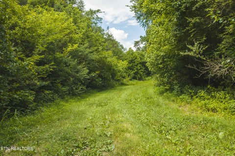Tiny photo for 114 S Mohawk Rd, Midway, TN 37809 (MLS # 1348860)