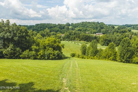 Tiny photo for 114 S Mohawk Rd, Midway, TN 37809 (MLS # 1348860)