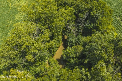 Tiny photo for 114 S Mohawk Rd, Midway, TN 37809 (MLS # 1348860)