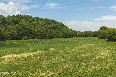 Tiny photo for 114 S Mohawk Rd, Midway, TN 37809 (MLS # 1348860)