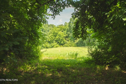 Tiny photo for 114 S Mohawk Rd, Midway, TN 37809 (MLS # 1348860)