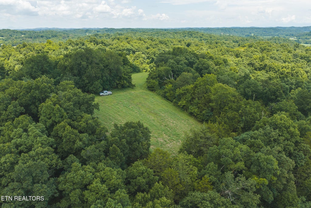 Photo of 114 S Mohawk Rd, Midway, TN 37809 (MLS # 1348860)
