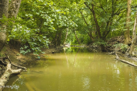 Tiny photo for 114 S Mohawk Rd, Midway, TN 37809 (MLS # 1348860)