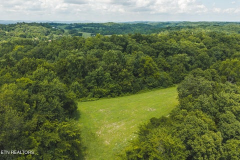 Tiny photo for 114 S Mohawk Rd, Midway, TN 37809 (MLS # 1348860)