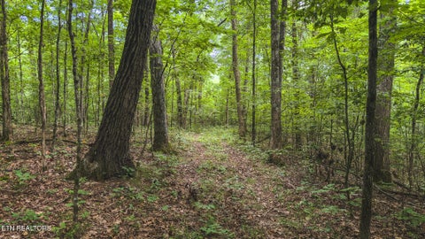 Tiny photo for 114 S Mohawk Rd, Midway, TN 37809 (MLS # 1348860)