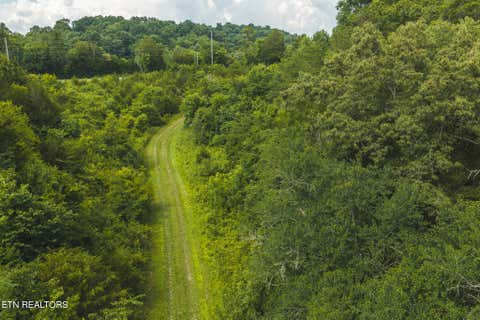 Tiny photo for 114 S Mohawk Rd, Midway, TN 37809 (MLS # 1348860)