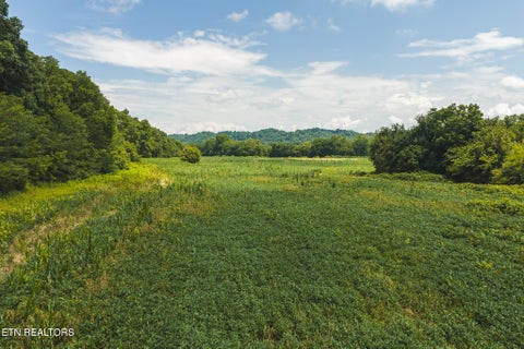 Tiny photo for 114 S Mohawk Rd, Midway, TN 37809 (MLS # 1348860)