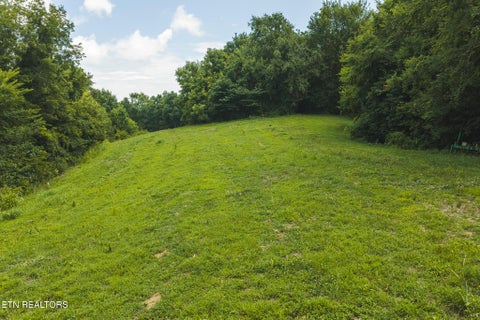 Tiny photo for 114 S Mohawk Rd, Midway, TN 37809 (MLS # 1348860)