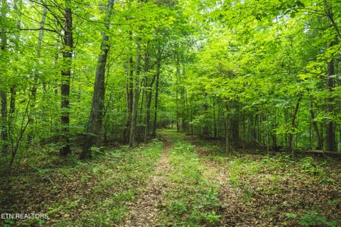 Tiny photo for 114 S Mohawk Rd, Midway, TN 37809 (MLS # 1348860)