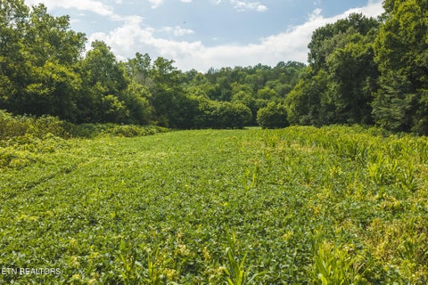 Tiny photo for 114 S Mohawk Rd, Midway, TN 37809 (MLS # 1348860)