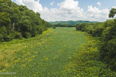 Tiny photo for 114 S Mohawk Rd, Midway, TN 37809 (MLS # 1348860)