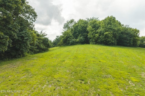 Tiny photo for 114 S Mohawk Rd, Midway, TN 37809 (MLS # 1348860)