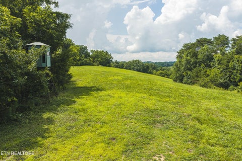 Tiny photo for 114 S Mohawk Rd, Midway, TN 37809 (MLS # 1348860)