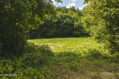 Tiny photo for 114 S Mohawk Rd, Midway, TN 37809 (MLS # 1348860)