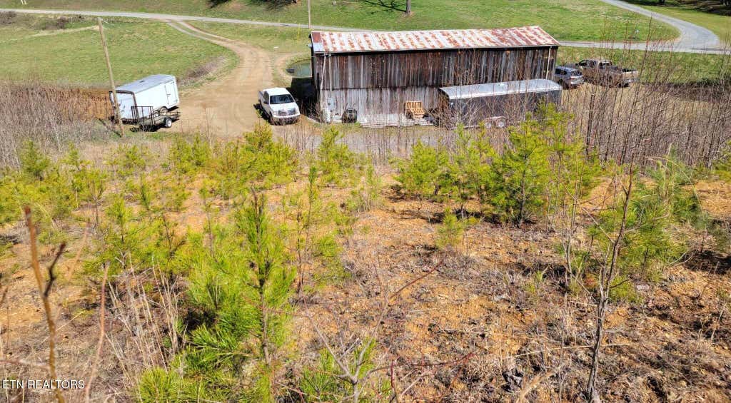 Photo of 1622 Blue Mill Rd, Del Rio, TN 37727 (MLS # 1306107)