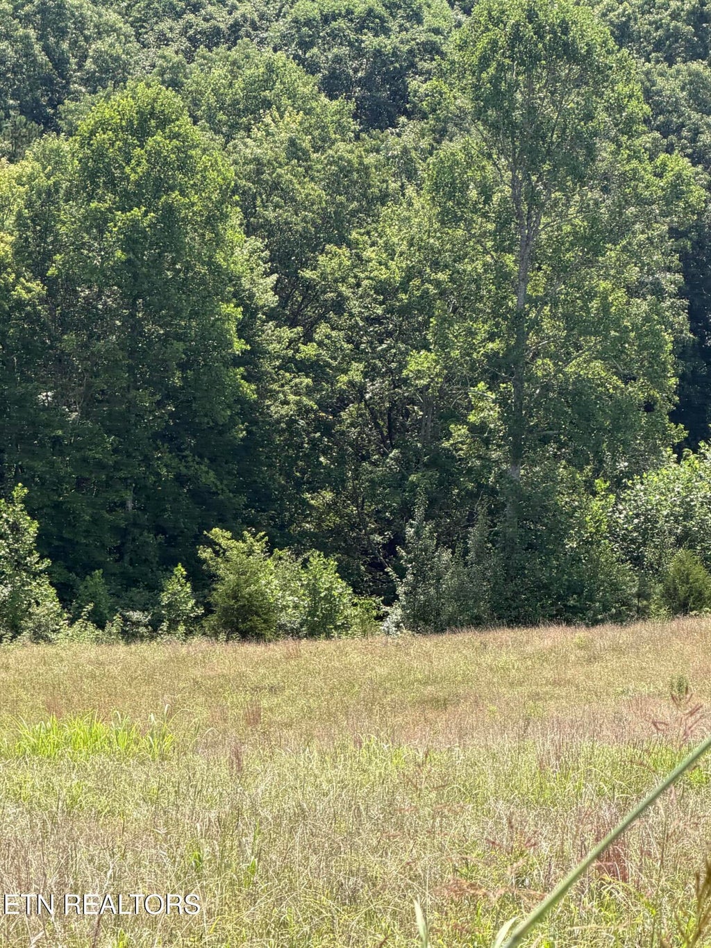 Photo of Iron Works Rd, Harrogate, TN 37752 (MLS # 1348752)