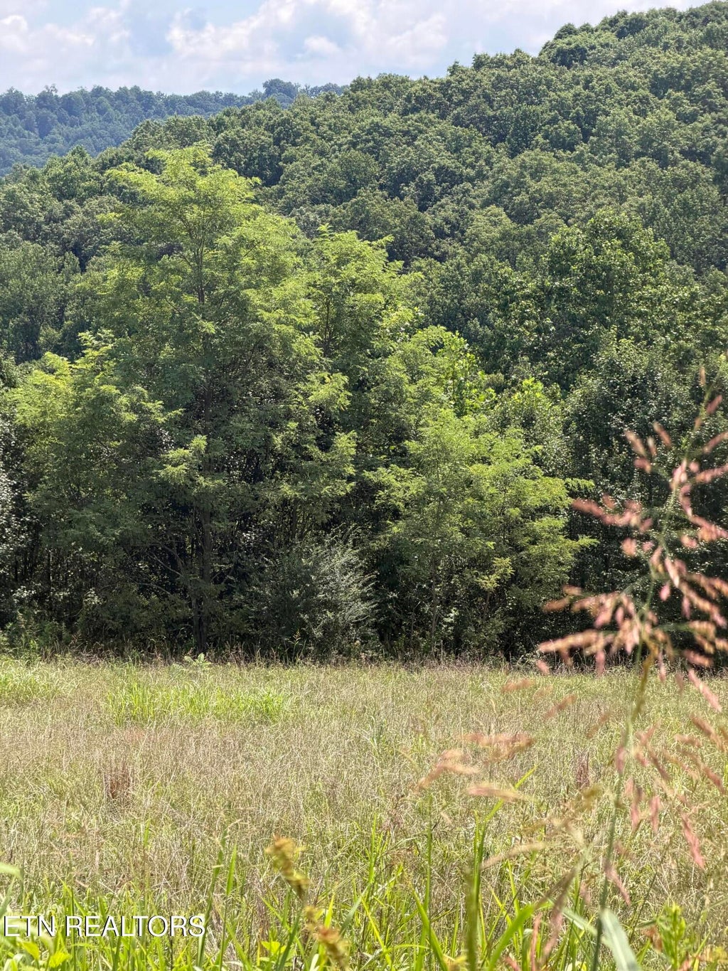 Photo of Iron Works Rd, Harrogate, TN 37752 (MLS # 1348752)