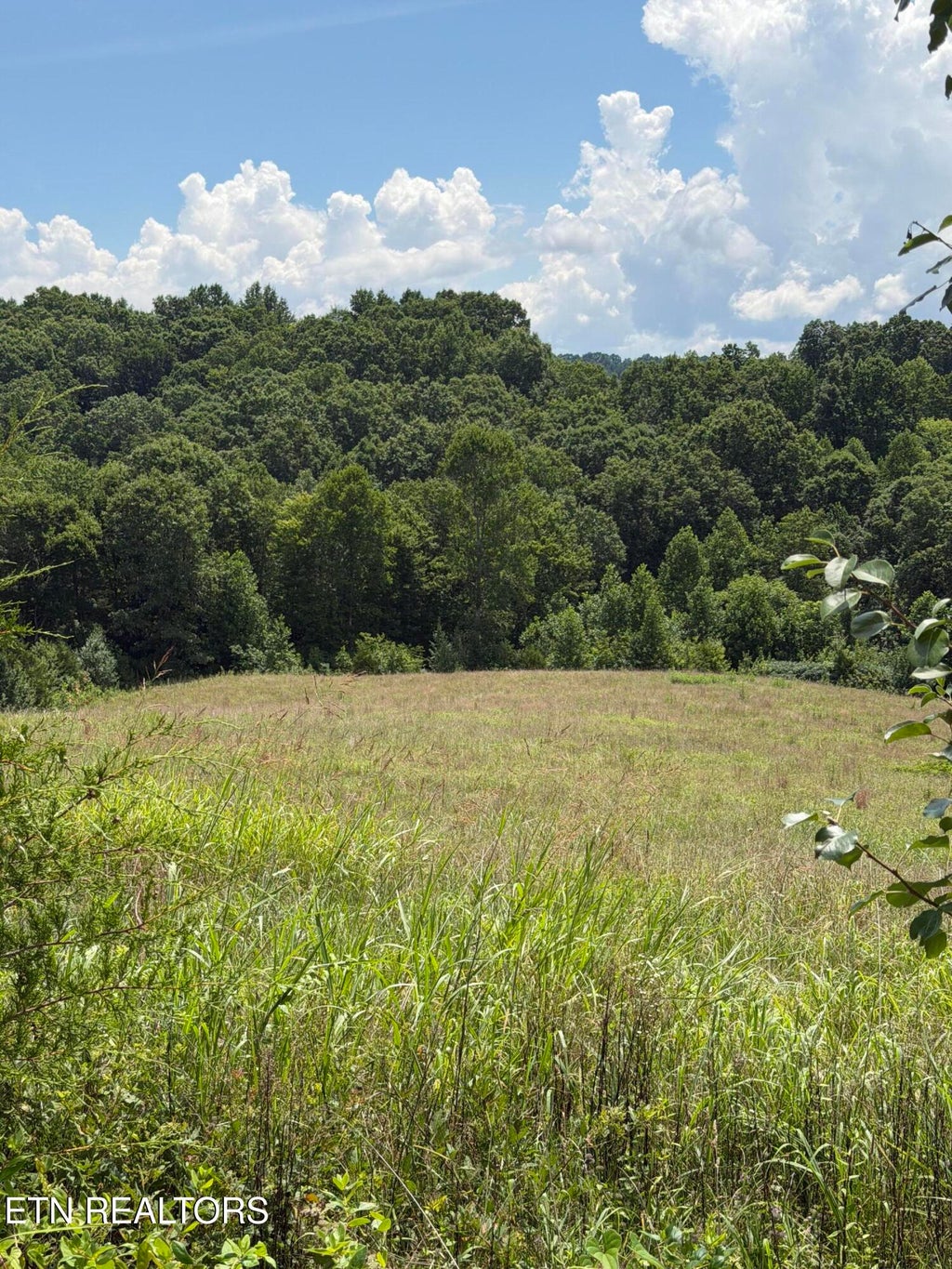 Photo of Iron Works Rd, Harrogate, TN 37752 (MLS # 1348752)