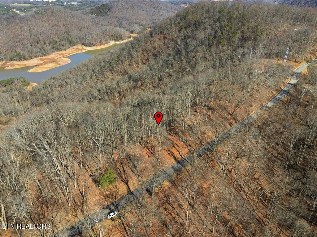 Photo of 141 Chelaque Way, Mooresburg, TN 37811 (MLS # 1326456)