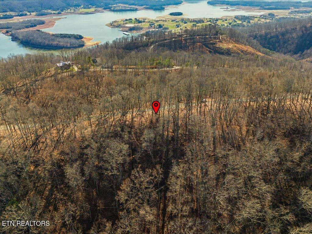 Photo of 141 Chelaque Way, Mooresburg, TN 37811 (MLS # 1326456)