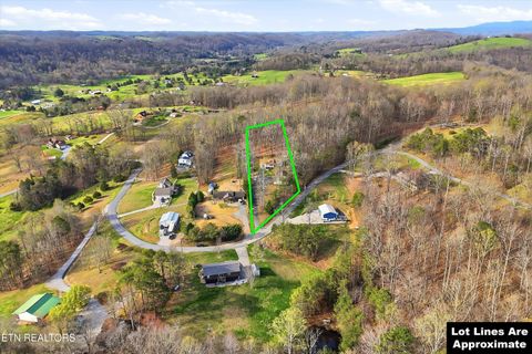 Tiny photo for 267 Autumns Way, Maynardville, TN 37807 (MLS # 1335526)