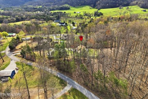 Tiny photo for 267 Autumns Way, Maynardville, TN 37807 (MLS # 1335526)