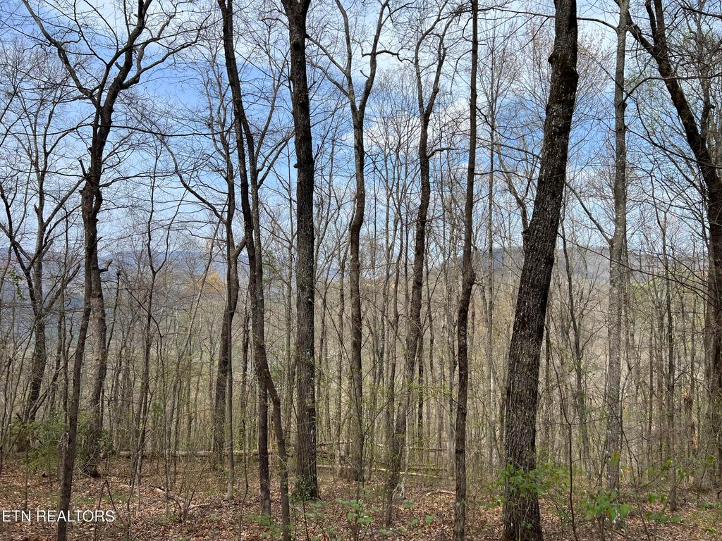 Photo of 49 Patriot Lane, Sevierville, TN 37862 (MLS # 1326773)