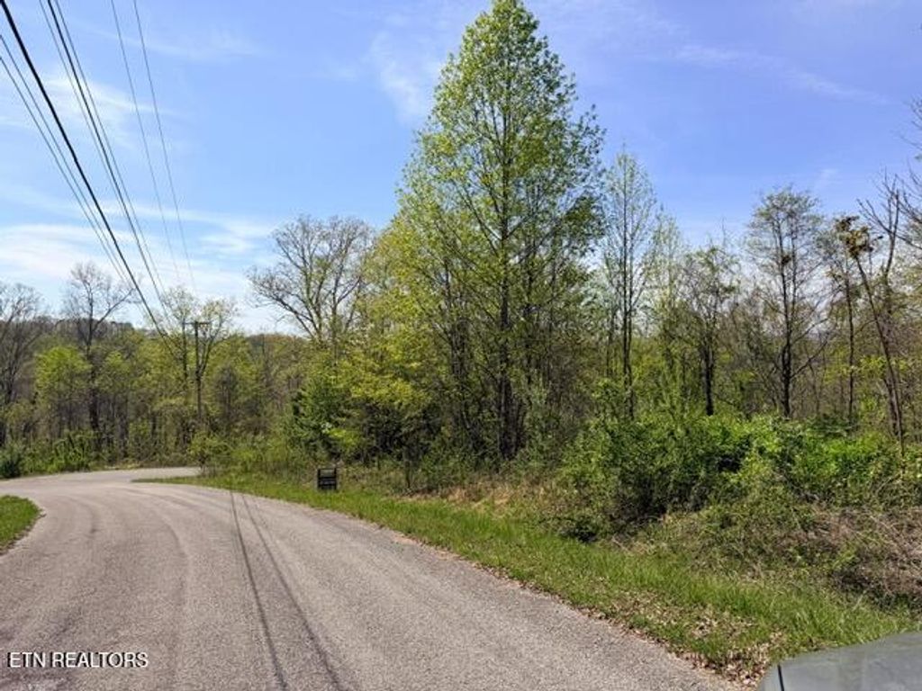 Photo of 110 Harness Lane, Speedwell, TN 37870 (MLS # 1339506)