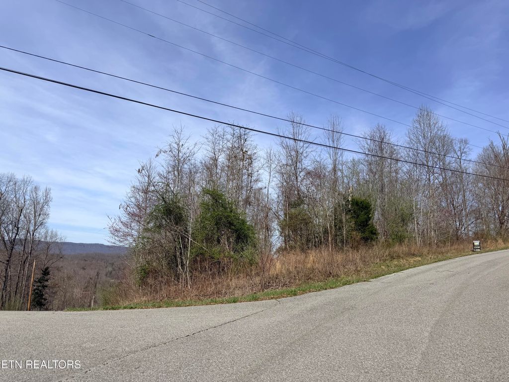Photo of 110 Harness Lane, Speedwell, TN 37870 (MLS # 1339506)