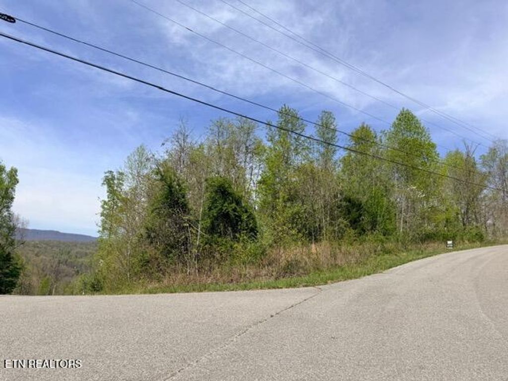 Photo of 110 Harness Lane, Speedwell, TN 37870 (MLS # 1339506)