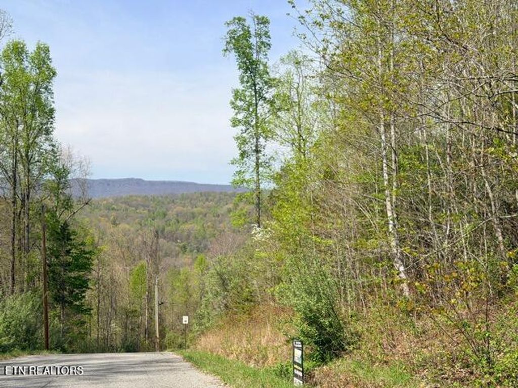 Photo of 110 Harness Lane, Speedwell, TN 37870 (MLS # 1339506)